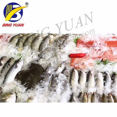 เครื่องทำน้ำแข็งเกล็ดอัตโนมัติสำหรับเครื่องทำน้ำแข็งเกล็ดเชิงพาณิชย์ประเภทประมง
