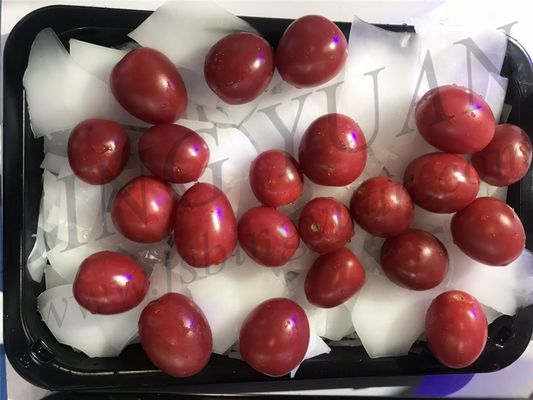 ราคาขายส่งเครื่องทำน้ำแข็งเกล็ดอุตสาหกรรม 1T / วันเครื่องทำน้ำแข็งขนาดเล็ก